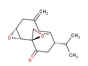 PERIPLANONEB