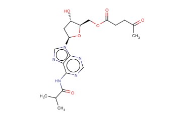 N2-ISOBUTYRYL-5'-O-LEVULINOYL-2'-DEOXYADENOSINE
