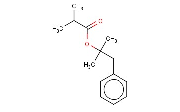 <span class='lighter'>异</span><span class='lighter'>丁酸</span>苯基叔丁酯