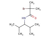N1-(1-<span class='lighter'>异</span>丙基-2-甲基丙基)-2-<span class='lighter'>溴</span>-2-甲基丙胺