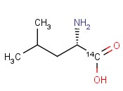 L-<span class='lighter'>LEUCINE</span>, [14C(U)]-
