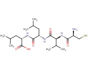 RAS, CYSTEINE-VALINE-<span class='lighter'>LEUCINE</span>