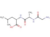 GLYCYL-L-ALANYL-L-<span class='lighter'>LEUCINE</span>