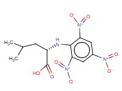 TNP-L-<span class='lighter'>LEUCINE</span>