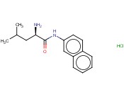 <span class='lighter'>D-LEUCINE</span> BETA-NAPHTHYLAMIDE HYDROCHLORIDE