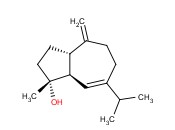 D-果糖 1,6-<span class='lighter'>二磷酸酯</span>-ul-14C*四钠