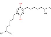 2,5-<span class='lighter'>二</span>异辛基<span class='lighter'>对苯二酚</span>