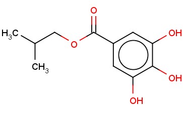 <span class='lighter'>GALLIC</span> ACID <span class='lighter'>ISO-BUTYL</span> <span class='lighter'>ESTER</span>