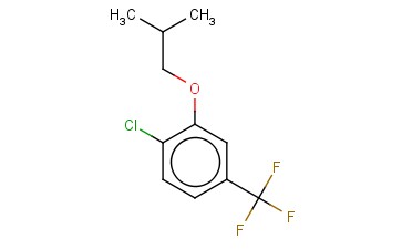 3-<span class='lighter'>ISO</span>-BUTOXY-4-CHLOROBENZOTRIFLUORIDE