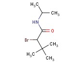 N1-<span class='lighter'>异</span>丙基-2-<span class='lighter'>溴</span>-3,3-二甲基丁胺