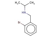 N-(2-<span class='lighter'>溴</span>苄基)<span class='lighter'>异</span>丙基胺