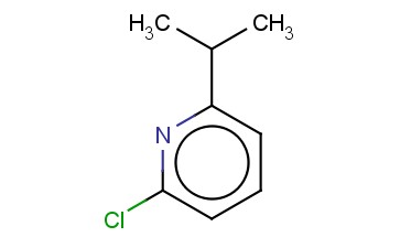2-<span class='lighter'>氯</span>-6-<span class='lighter'>异</span><span class='lighter'>丙基</span><span class='lighter'>吡啶</span>