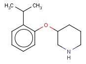 3-(2-<span class='lighter'>异</span><span class='lighter'>丙基</span>苯氧基)哌啶
