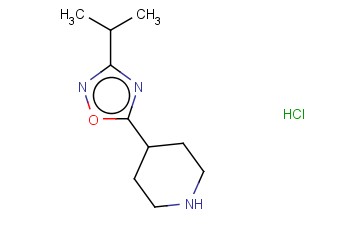 4-(3-ISOPROPYL-1,2,4-OXADIAZOL-5-YL)PIPERIDINE HYDROCHLORIDE