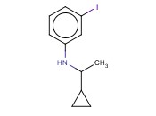 N-(1-CYCLOPROPYLETHYL)-<span class='lighter'>3-IODOANILINE</span>