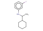 N-(1-CYCLOHEXYLETHYL)-<span class='lighter'>3-IODOANILINE</span>