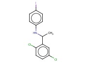 N-[1-(2,5-DICHLOROPHENYL)ETHYL]-<span class='lighter'>4-IODOANILINE</span>