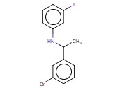 N-[1-(3-BROMOPHENYL)ETHYL]-<span class='lighter'>3-IODOANILINE</span>