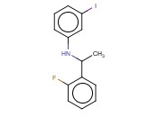 N-[1-(2-FLUOROPHENYL)ETHYL]-<span class='lighter'>3-IODOANILINE</span>