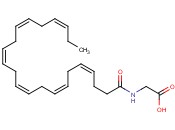 DOCOSAHEXAENOYL GLYCINE