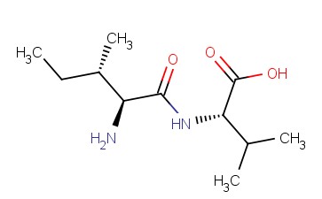 <span class='lighter'>ILE-VAL</span>