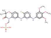 <span class='lighter'>FOSTAMATINIB</span>