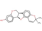菜豆<span class='lighter'>蛋白</span>