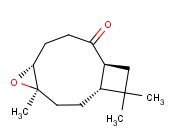 KOBUSONE
