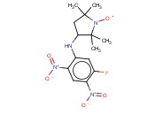 3-(5-<span class='lighter'>氟</span>-2,4-二硝基<span class='lighter'>苯胺</span>)-氧基吡咯烷