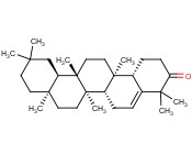 黏黴<span class='lighter'>酮</span>