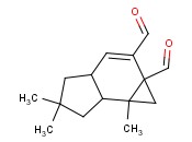<span class='lighter'>ISO</span>-ISOVELLERAL