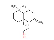 <span class='lighter'>龙涎</span><span class='lighter'>酮</span>