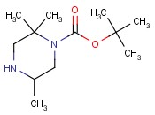 tert-butyl 2,2,5-trimethylpiperazine-1-carboxylate