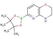 6-(4,4,5,5-TETRAMETHYL-1,3,2-DIOXABOROLAN-2-YL)-3,4-<span class='lighter'>DIHYDRO</span>-2H-PYRIDO[<span class='lighter'>3,2</span>-B][1,4]OXAZINE