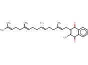 Vitamin K2