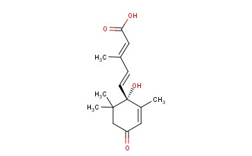 5-(1-HYDROXY-2,6,6-TRIMETHYL-4-OXOCYCLOHEX-2-EN-1-YL)-3-METHYL-(2E,4E)-PENTADIENOIC ACID