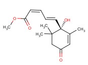 <span class='lighter'>ABSCISIC</span> ACID METHYL <span class='lighter'>ESTER</span>