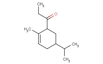 <span class='lighter'>NERONE</span>