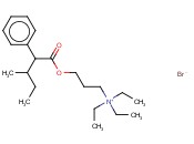 C 4303
