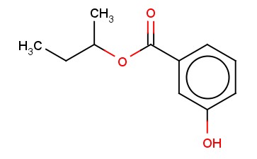 BUTAN-2-YL <span class='lighter'>3-HYDROXYBENZOATE</span>