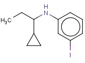 N-(1-CYCLOPROPYLPROPYL)-<span class='lighter'>3-IODOANILINE</span>