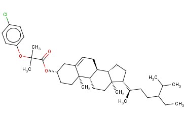 <span class='lighter'>西</span><span class='lighter'>托</span><span class='lighter'>贝</span><span class='lighter'>特</span>