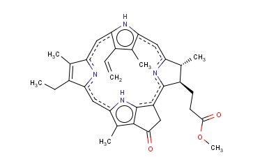 焦脱镁叶绿<span class='lighter'>酸</span>α<span class='lighter'>甲</span><span class='lighter'>酯</span>