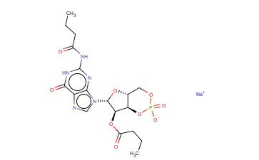 N2,2'-O-双丁酰鸟苷3',5'-环磷酸钠盐<span class='lighter'>二水</span>