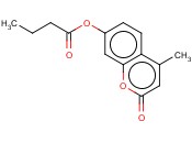 <span class='lighter'>4-MU-BUTYRATE</span>