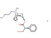 <span class='lighter'>SCOPOLAMINE</span>