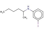 N-(HEXAN-2-YL)-<span class='lighter'>3-IODOANILINE</span>