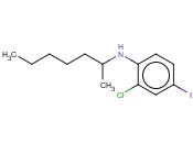 2-CHLORO-N-(HEPTAN-2-YL)-<span class='lighter'>4-IODOANILINE</span>