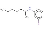 N-(HEPTAN-2-YL)-<span class='lighter'>3-IODOANILINE</span>
