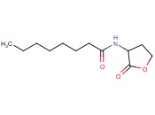 <span class='lighter'>N-OCTANOYL-DL-HOMOSERINE</span> <span class='lighter'>LACTONE</span>